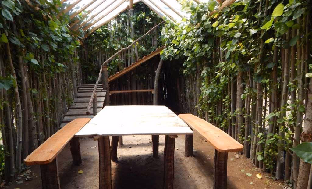 ¿Cómo se llaman las casas en los árboles?