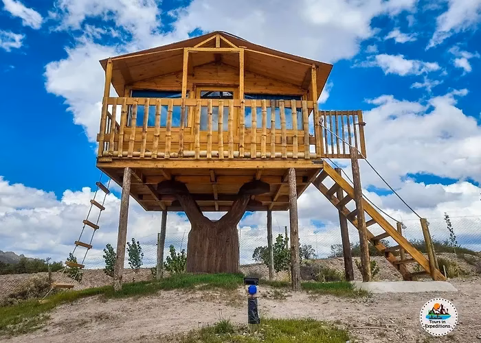 ¿Qué tiene una casa del árbol?