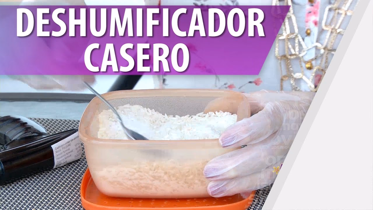 ¿Qué poner en las paredes para que no pase la humedad?