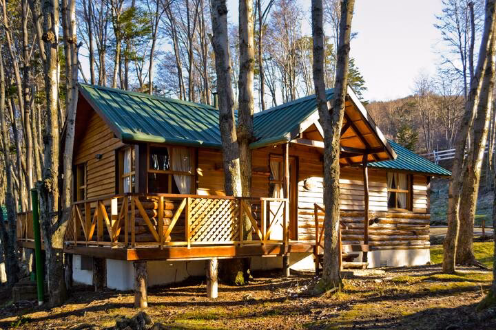 ¿Puedo construir una cabaña en un bosque nacional?