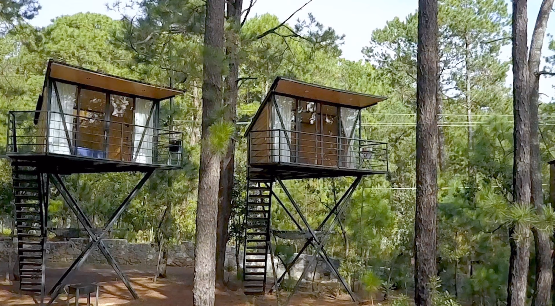 ¿Cuánto cuesta hacer una casa del árbol?