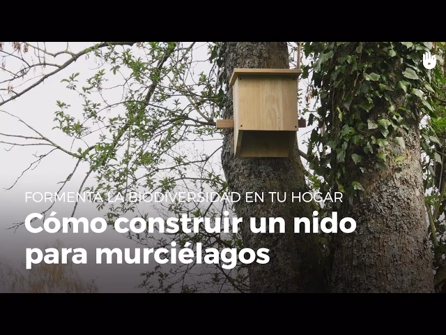 ¿Cuánto cuesta construir una casa para murciélagos?