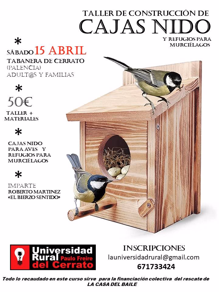 ¿Cuál es el mejor diseño para una casa para murciélagos?