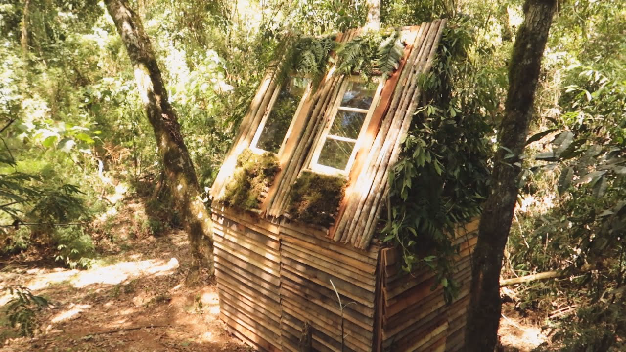 ¿Está permitido construir una casa en el bosque?
