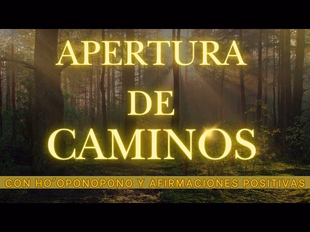 ¿Cuáles son las 4 palabras del Ho'oponopono?