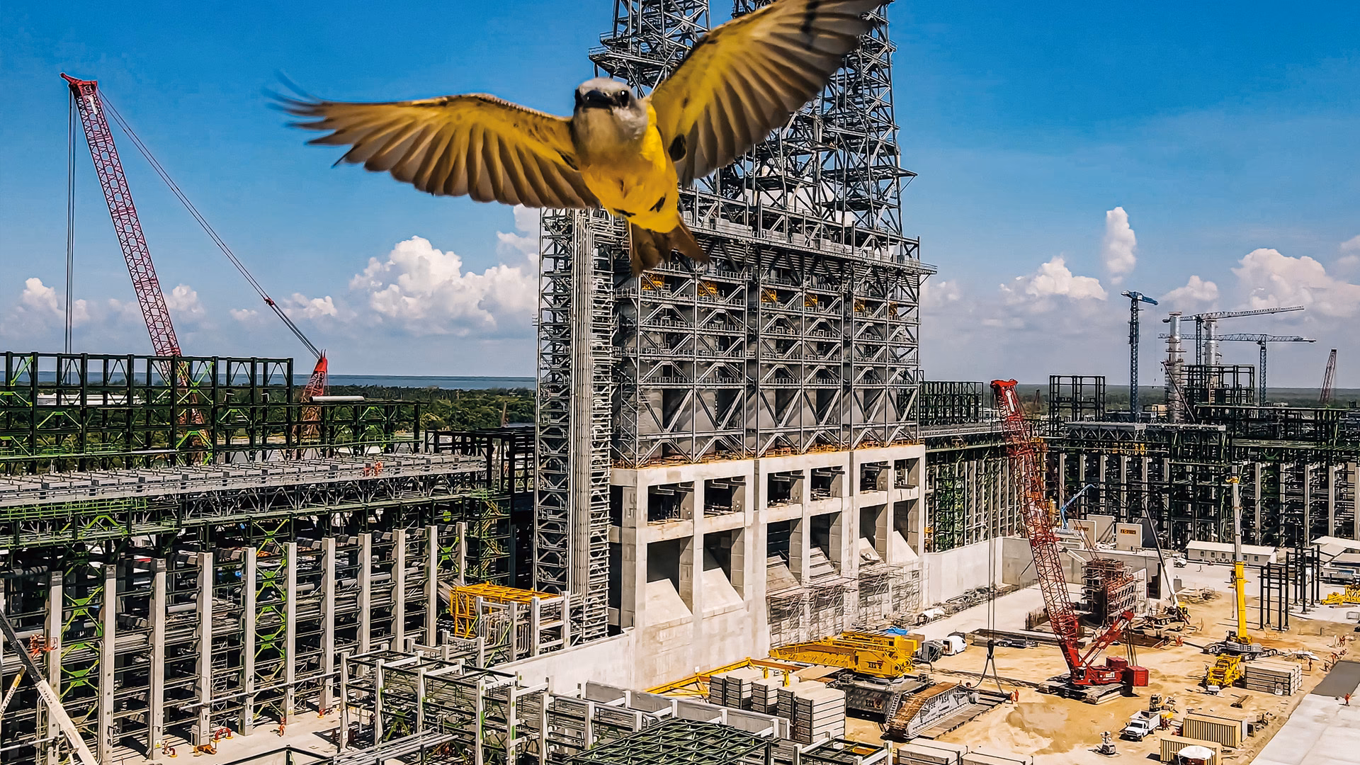 ¿Qué proyectos tiene ICA?