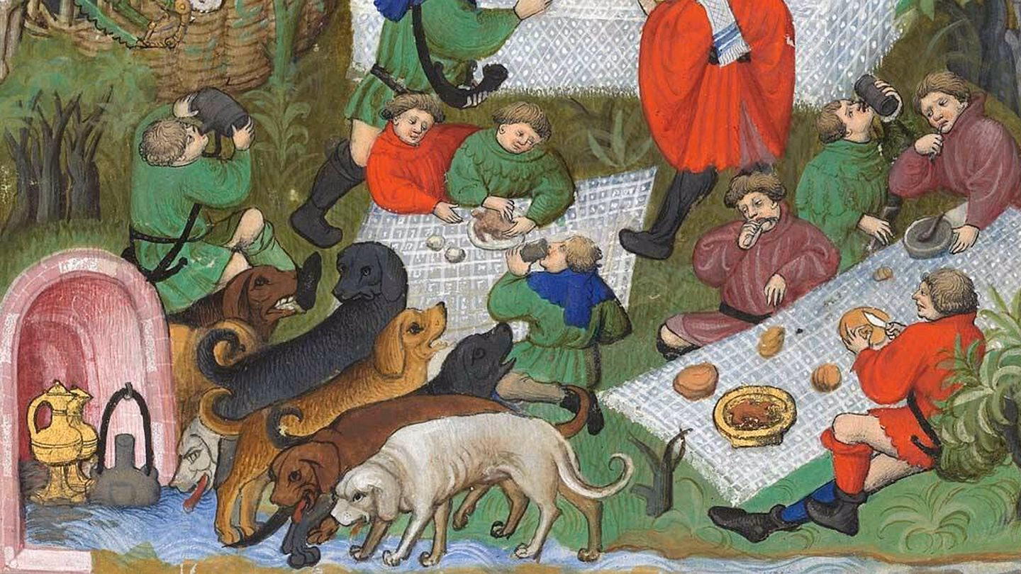 ¿Qué son los perros en construcción?